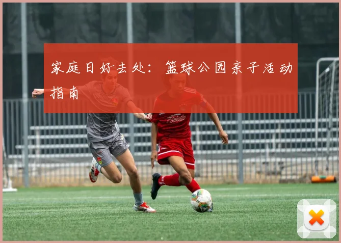 家庭日好去处：篮球公园亲子活动指南